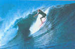 AUSTRALIA : 1981 : Post.Stat. : SEA,WAVES,AQUATIC SPORT,SURFING, - Interi Postali