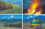 AUSTRALIA : 1981 : Post.Stat. : AGRICULTURE,CANE,CANE FIRE,HARVESTING,TRAIN, - Postal Stationery