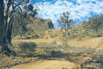 AUSTRALIA : 1978 : Post.Stat. : PAYSAGE,LANDSCAPE,GEOLOGY,MONAGNE,MOUNTAINS,ARBRE,TREE, - Entiers Postaux