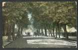 CHELTENHAM, PROMENADE, VINTAGE COLOUR POSTCARD - Cheltenham