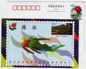 Swimming,huaqing Hot Spring,China 1999 The 4th National City Games Advertising Postal Stationery Card - Nuoto