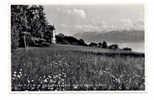 OLD FOREIGN 0143 -  SUISSE - SWISS -CHEXBRES - HOTEL DU SIGNAL - LE PARC - Chexbres