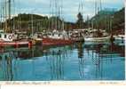 Fish Boats Which The Salmon Trolling Fleet Along The Rupert Docks Portray Terrific Shadows... Prince Rupert - Fischerei