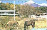 Verry Nice  Japan   Phonecard  Animal  Pferd Horse Cheval - Caballos