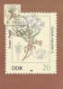 1232  -Allemagne 1982 - Cartoline Maximum
