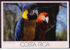 COSTA RICA - Aves Tropicales - Costa Rica