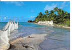 Archipel Des TUAMOTU - Paysage Typique Des Atolls - Ile De Tikehau - Polynésie Française