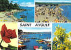 Carte Postale 83.  Saint-Aygulf   Trés Beau Plan - Saint-Aygulf