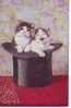 Animaux - Chats - Cats - Chapeaux - Chatons Dans Un Chapeau - Illustrateur - S332 - Bon état Général - Katzen
