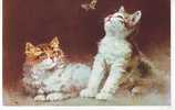 Animaux -  Chats - Cats - Papillons - Chatons Jouants Avec Un Papillon - S353 - Bon état Général - Katzen