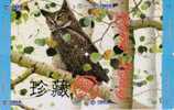 Puzzle - Prepaid Card China Tietong - Hiboux, Chouettes / Eule / Owl / Gufo - Coca-Cola (4 Cards) - Gufi E Civette