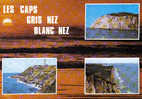 Carte Postale  62.  Cap Gris-Nez Et Cap Blanc-Nez Trés Beau Plan - Henin-Beaumont