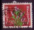 Belgie Belgique COB 834 Cote 0.25 € KORTEMARK - Usati