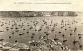 CPA Camaret Sur Mer - Les Bateaux De Pêche Au Mouillage Dans L'anse Du Penhir - Camaret-sur-Mer