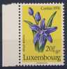 Luxemburg Luxembourg 1976 Mi 940 YT 890 ** Scillabifolia: Scille à Deux Feuilles / Zweiblättrige Blaustern / Hyacinth - Ongebruikt
