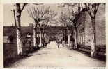 Châteauneuf De Galaure ( Drôme ) - Avenue Joseph Chorier - Die