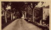 Châteauneuf De Galaure ( Drôme ) - Avenue De La Galure - Die