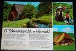 Mills,Water Mill,Schwarzwald,Germany,Multipicture,postcard - Water Mills
