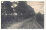 ANSICHTKAART (222) PUTTEN GRIETEWEG INGANG PUTTERBOSCH POSTSTEMPEL 01-11-1906 - Putten