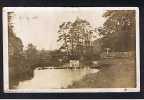 Real Photo Postcard Beresford Bearisford Dale Near Hartington Derbyshire Peak District - Ref B148 - Derbyshire