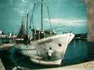 CESNATICO? NAVE PESCA BREZZA MARINA BELLA V1965  AI1847 - Fishing Boats