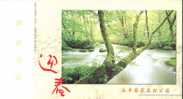 Brook Yongfen National Forest Park ,  Pre-stamped Card , Postal Stationery - Autres & Non Classés