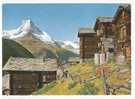 SUISSE-Zermatt (Wallis) .Findeln Mit Matterhorn.Mt Cervin. - Zermatt
