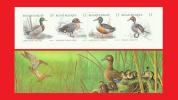 BEL 1989, Canards Sauvages, Carnet / Booklet Wild Ducks ** MNH - Entenvögel