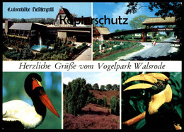 ÄLTERE POSTKARTE HERZLICHE GRÜSSE VOM VOGELPARK WALSRODE Tierpark Zoo Jardin Zoologique Parc Park Tukan Toucan Bird Cpa - Walsrode