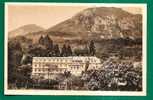 ARGELES-GAZOST - Hotel De France - Unused CPA C/1910`s - Argeles Gazost