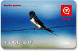 Slovenia - Mobi GSM Recharge Card - Bird - Swallow -  1000SIT - 31/12/2007 - Slowenien