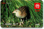 Slovenia - Mobi GSM Recharge Card - Bird - Corncrake-  1000SIT - 31/12/2007 - Slovénie