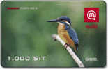 Slovenia - Mobi GSM Recharge Card - Bird - Kingfisher - Eisvogel  -  1000SIT - 31/12/2007 - Slovénie