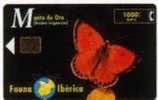 Spain - Spanien - Fauna Iberica - Schmetterling - Butterfly - Basic Issues