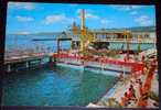 Sport,Swimming,Swimming Pool,Italy,Trieste,Ausonia,Jumping,postcard - Tennis De Table