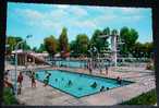 Sport,Swimming,Swimming Pool,Italy,Mantova,Jumping,People,postcard - Tenis De Mesa