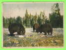 OURS - BEARS - PHOTO W.S. BERRY - CARD TRAVEL IN 1909 - - Ours