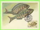 CARTE MAXIMUM - POISSONS - FISH - RUSSE - SMARIDA SPIKARA - NUM. YVERT 5018- - Cartes Maximum