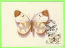 CARTE MAXIMUM - PAPILLON - BUTTERFLY -  RUSSE - - Maximumkarten