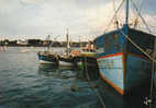 2908   -   Crozon Morgat   -   Bateau De Pêche Dans Le Port Devant Le C.C.A.S. - Crozon