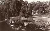 LEIDEN. HORTUS BOTANICUS. - Leiden