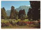 SUISSE-SCHWEIZ-SWITZERLAND.  BAD RAGAZ Kurpark Mit Falknis - Bad Ragaz