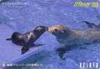 Carte Prépayée Japon - ANIMAL - PHOQUE - FUR SEAL Japanprepaid Keikyu Card - ROBBE Tiere Karte - BE 16 - Dolphins