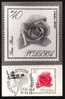 FL 11 - Maximum Card - Flowers, Rose (Rosa) - Tarjetas Máxima