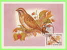 CARTE MAXIMUM - OISEAUX - BIRDS - RUSSIE - CARTES MAXIMUM 1981 - - Cartoline Maximum