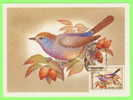 CARTE MAXIMUM - OISEAUX - BIRDS - RUSSIE - CARTES MAXIMUM 1981 - - Maximum Cards