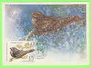 CARTE MAXIMUM - OISEAUX - BIRDS - RUSSIE - CARTES MAXIMUM 1979 - CAPRIMULGUS EUROPAEUS - - Cartoline Maximum