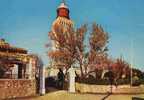 CPSM.  LE CAP D'ANTIBES. LE PHARE DE LA GUAROUPE. - Cap D'Antibes - La Garoupe