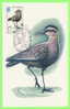 CARTE MAXIMUM - OISEAU - CARTE  DE RUSSIE 1982 - GENRE GOÉLAND - - Cartes Maximum