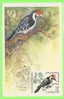 CARTE MAXIMUM - OISEAU - CARTE DE RUSSIE 1979 - PIC BOIS - - Maximum Cards